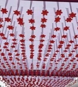 Ayush Crafts Ayushka Crafts Tent decorative ceiling Tent – For Marriage event party(White)