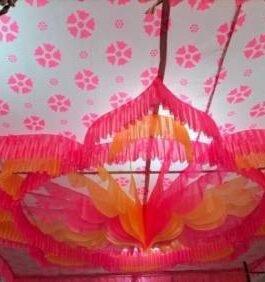 BMLP Tent Designer Ceiling 15 *15 feet(Pink)